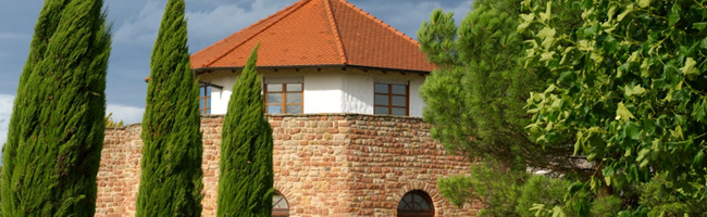 Weingut Heinrich Vollmer GmbH und Co.KG