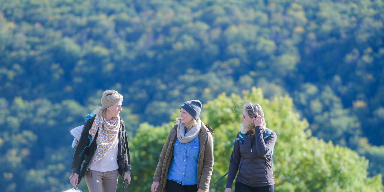 Rheingau-Taunus Kultur und Tourismus GmbH