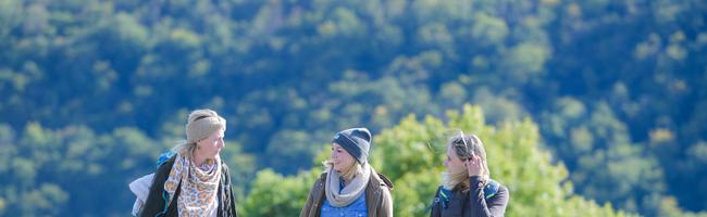 Rheingau-Taunus Kultur und Tourismus GmbH