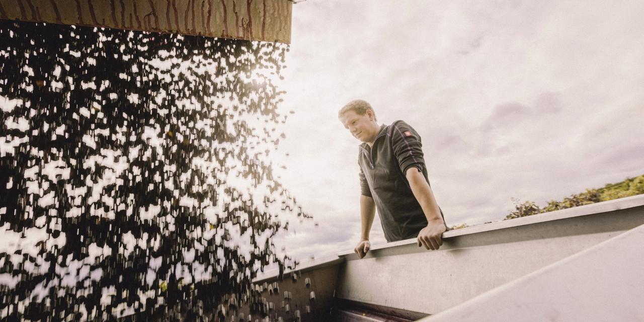 Weingut Jens Griebel