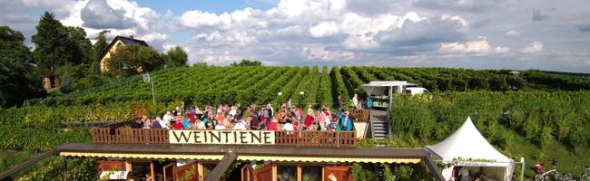 Weinbau Dr. Lindicke