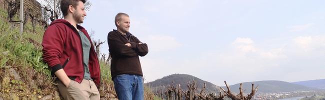 Weingut Steintal