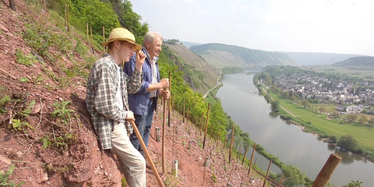 Weingut Benedikt Nilles