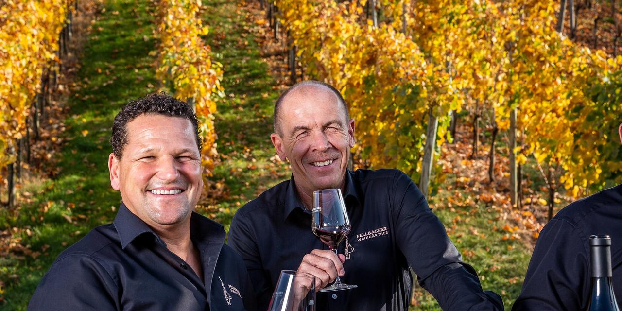 Fellbacher Weingärtner eG