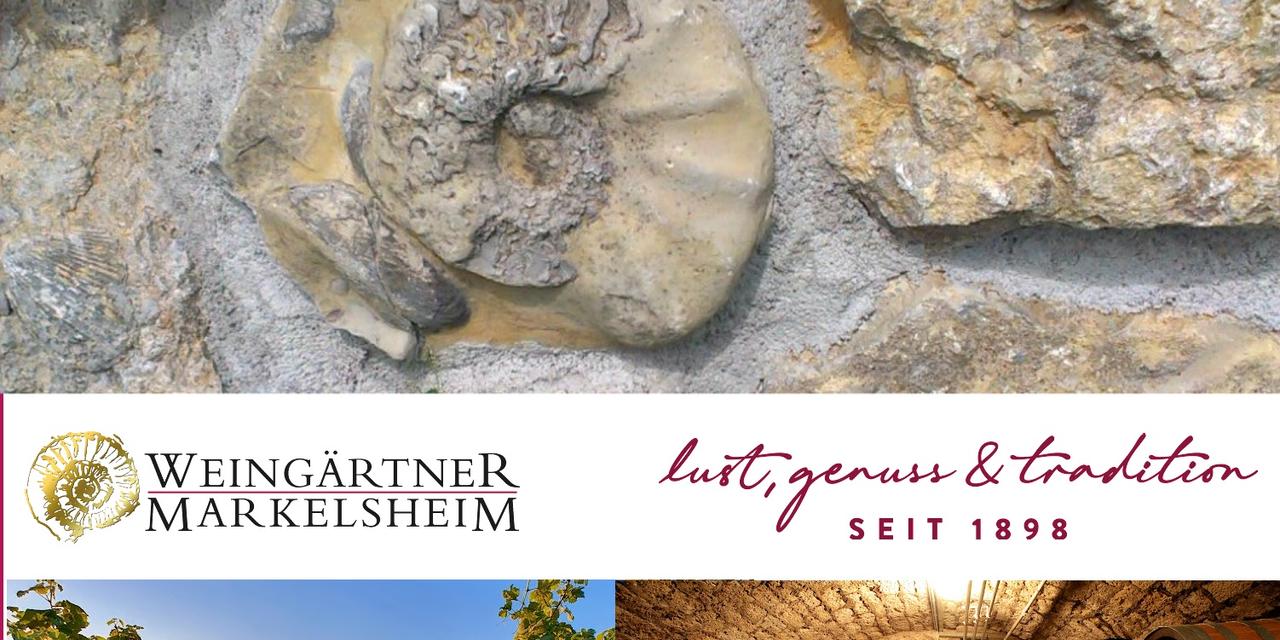 Weingärtner Markelsheim eG