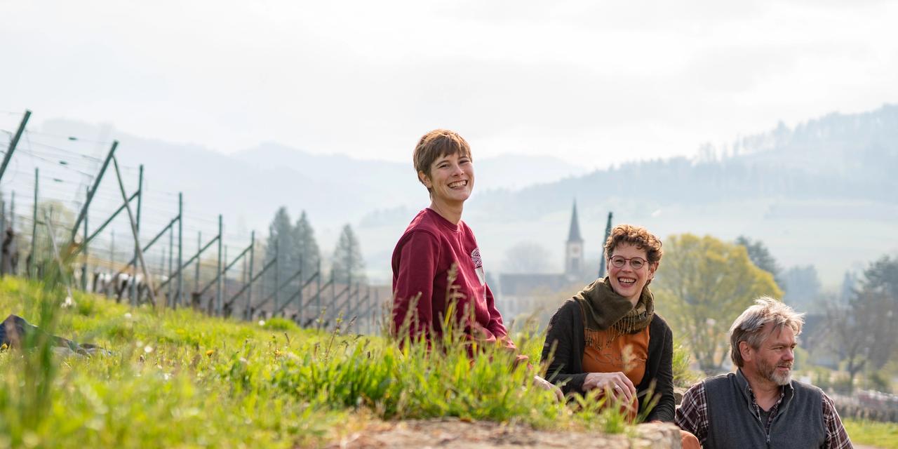 Weingut Schlumberger