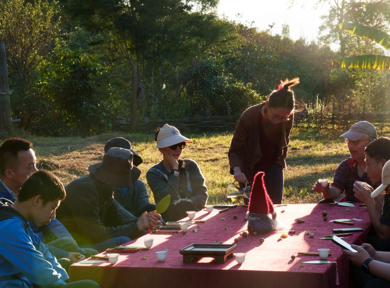 Blind Tea Tasting