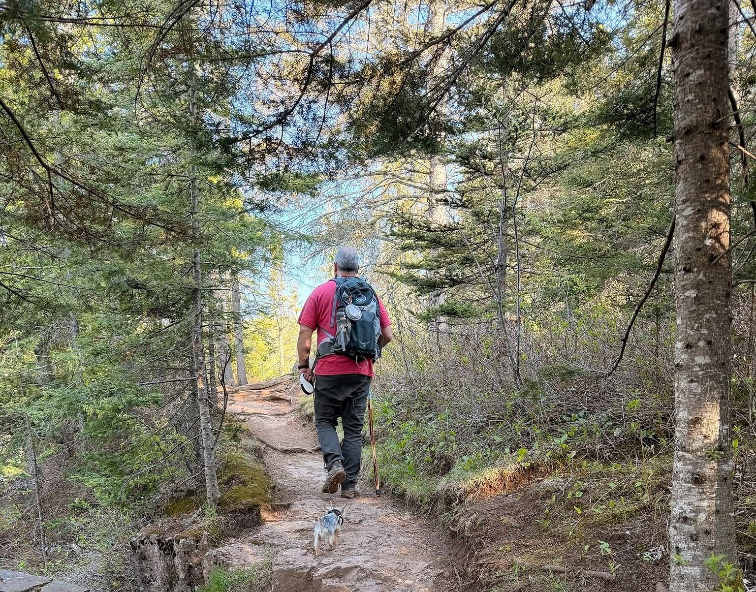 Hiking