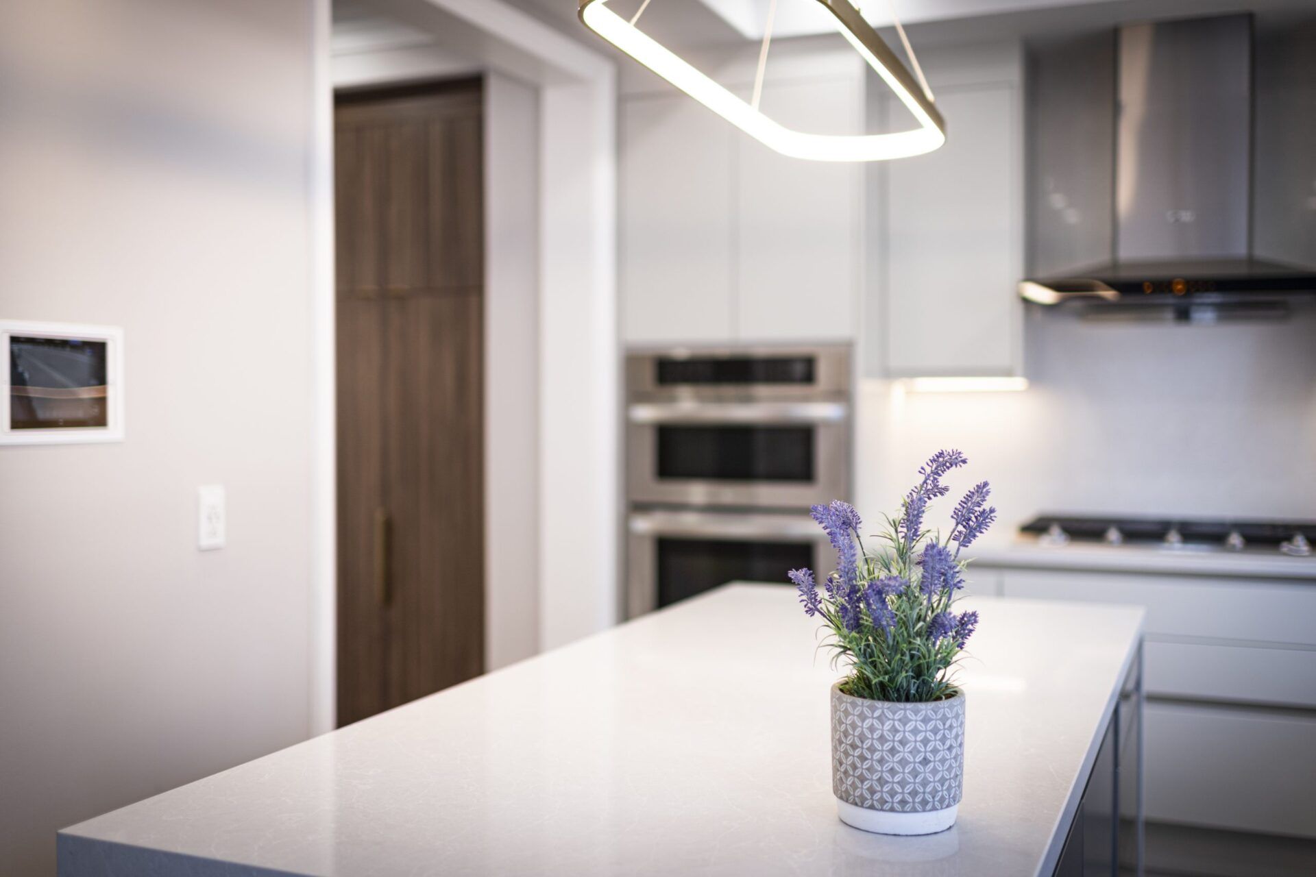 Project Image - Rose Berry - 9