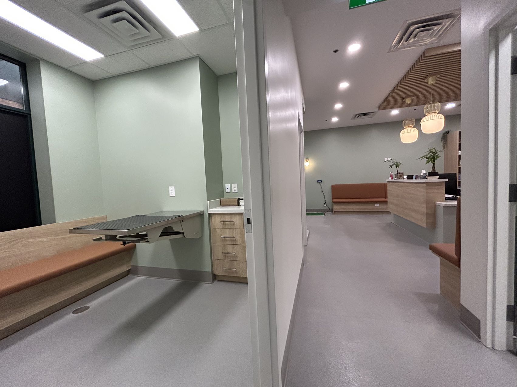 Project Image - Animal Hospital (Richmond Hill) - 2