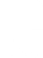 icon of Rare Recapture Corp