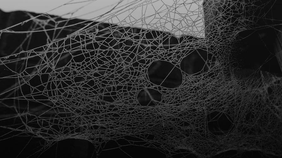 The Ecosystem Fragmentation Problem