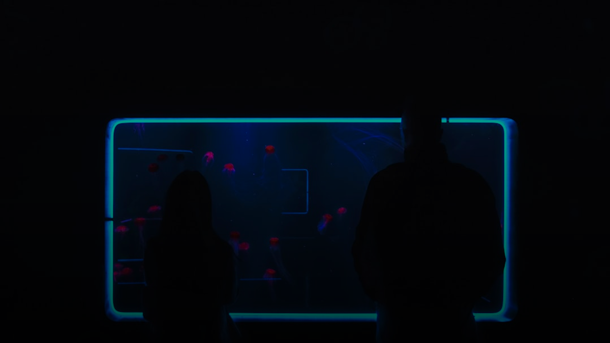 a couple of people standing in front of a tv