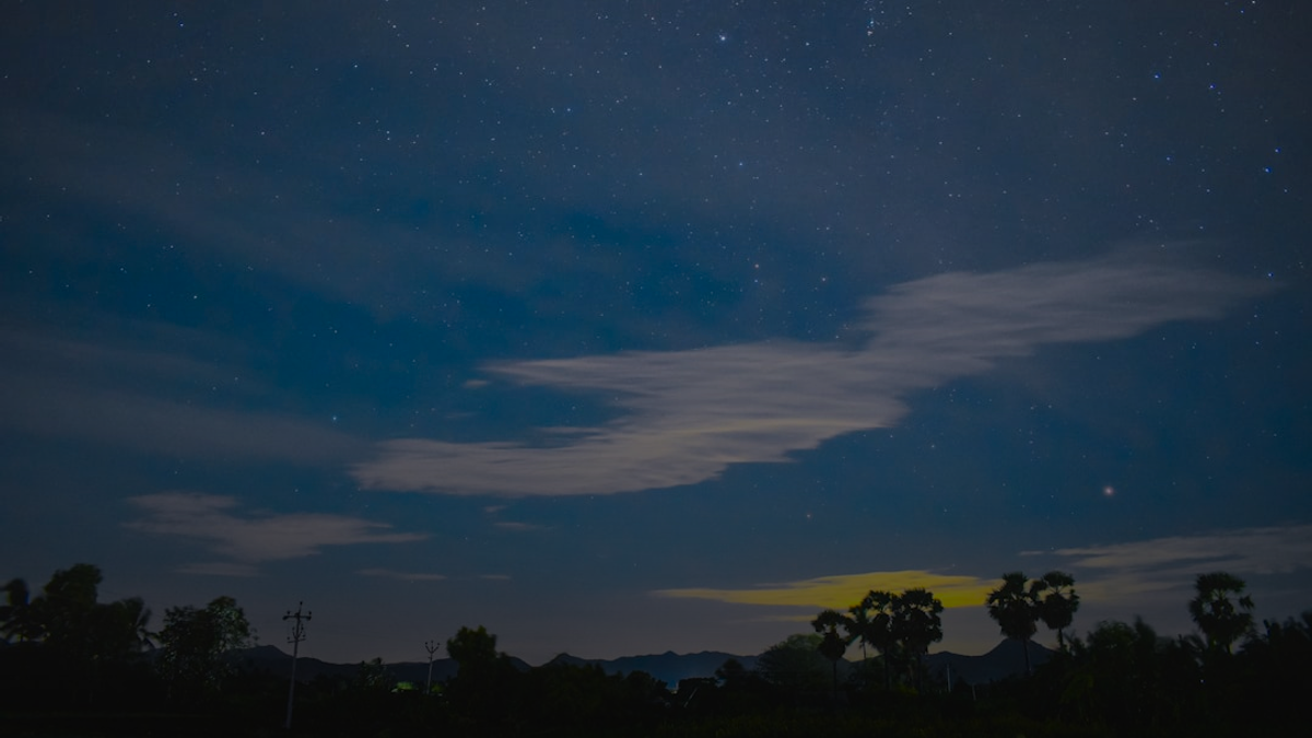 a night sky with stars and trees