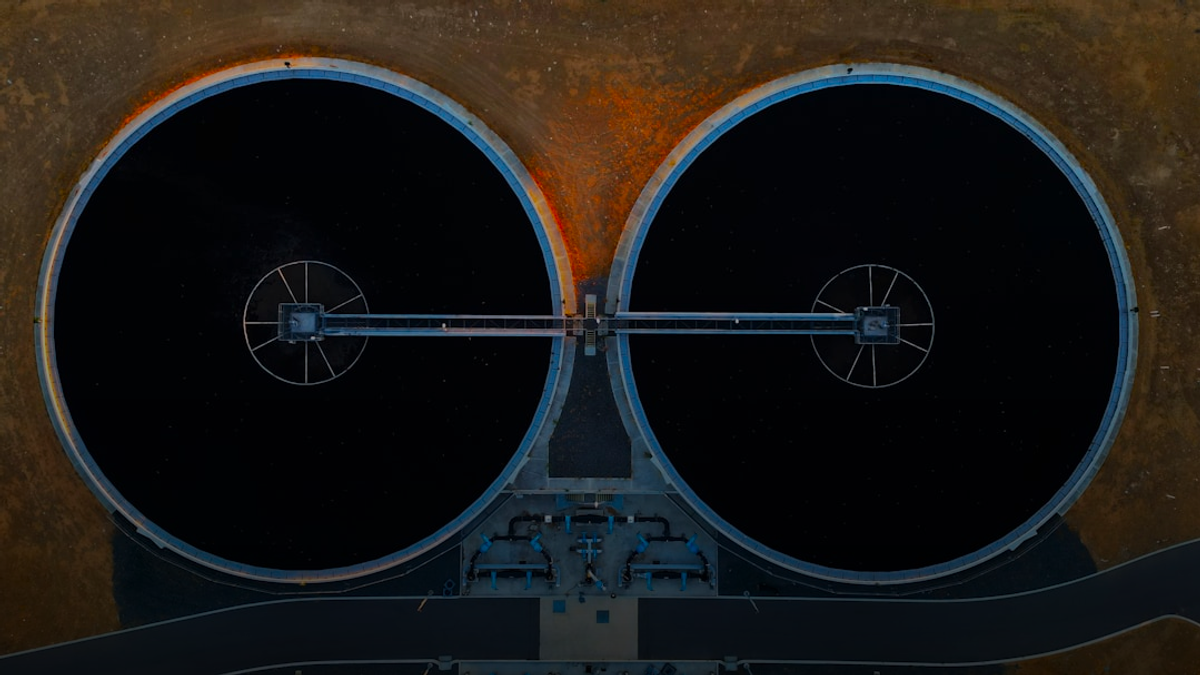 The "Many Eyes" Defense