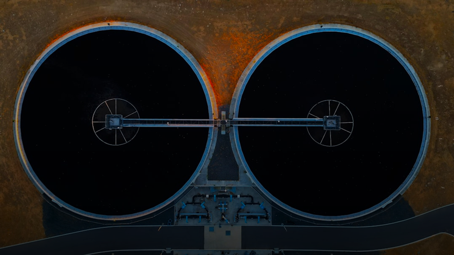 The "Many Eyes" Defense