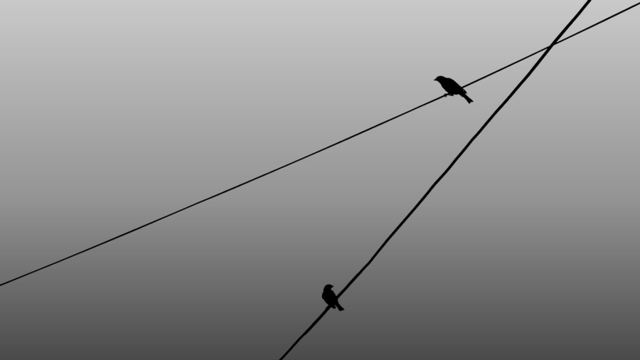 The Official Line vs. The Obvious Trajectory