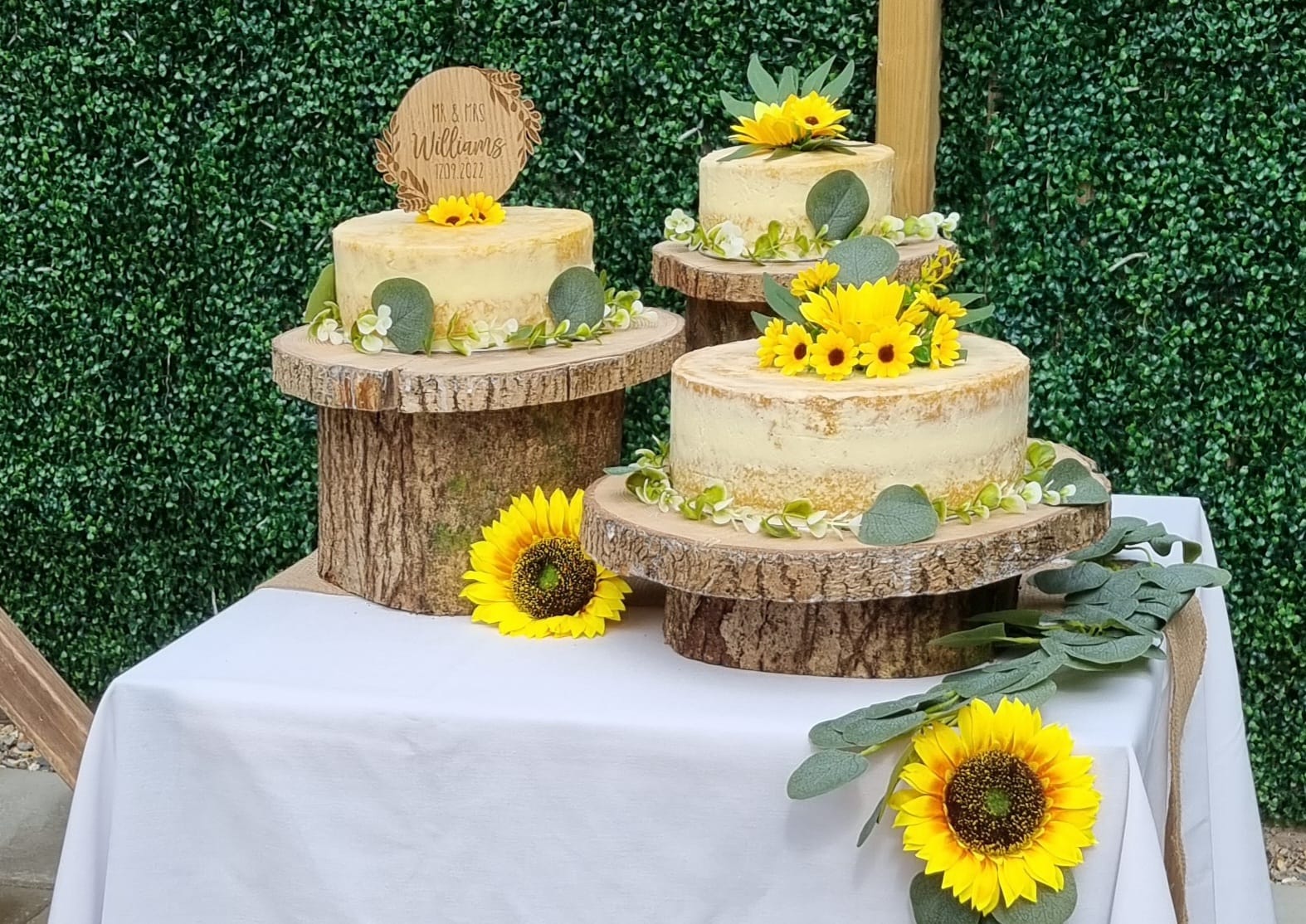 A three tier naked wedding cake with sunflowers, on log slices against a foliage wall
