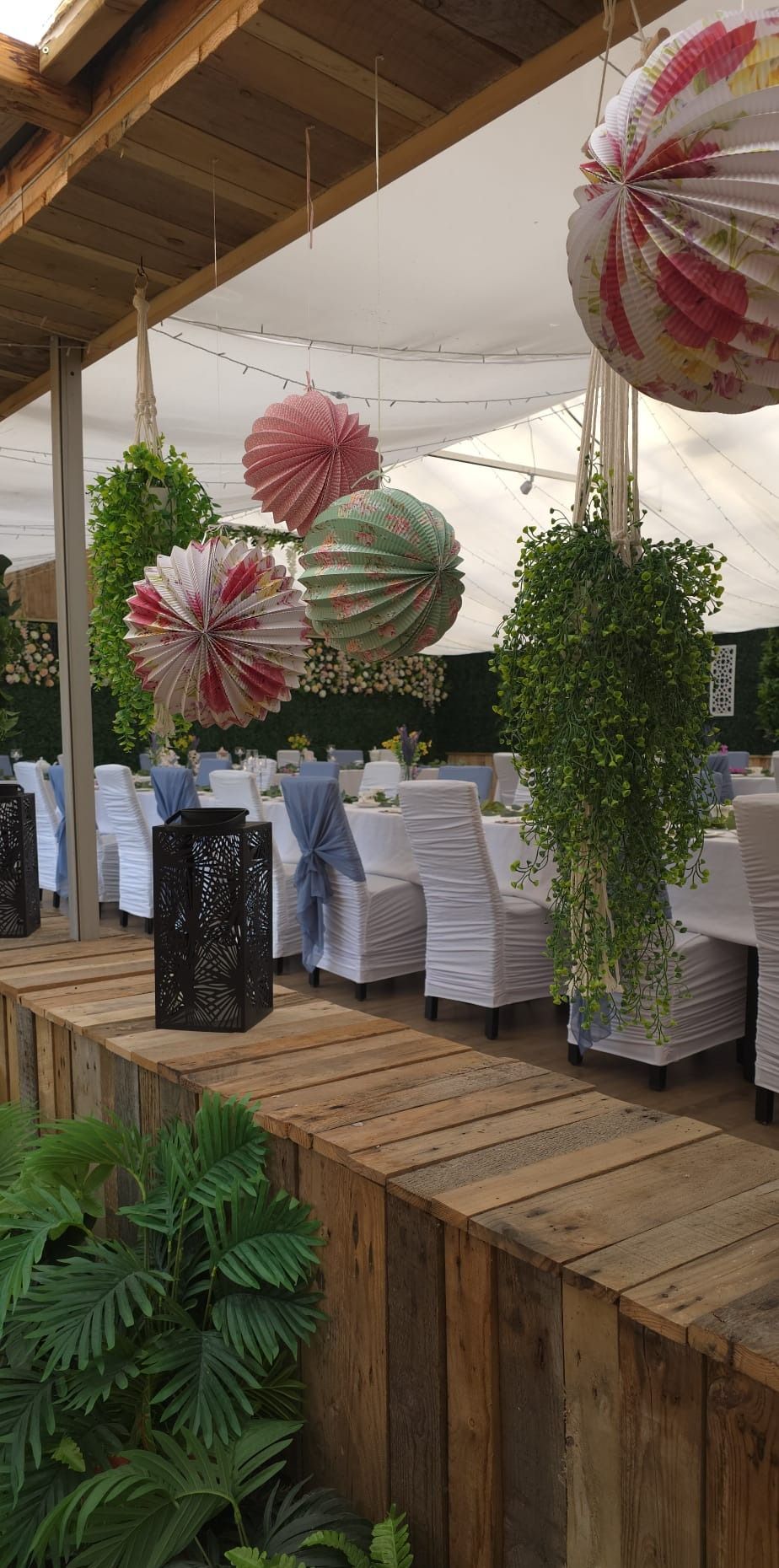 Floral paper lanterns and hanging plants above tea party tables dressed in blue and white