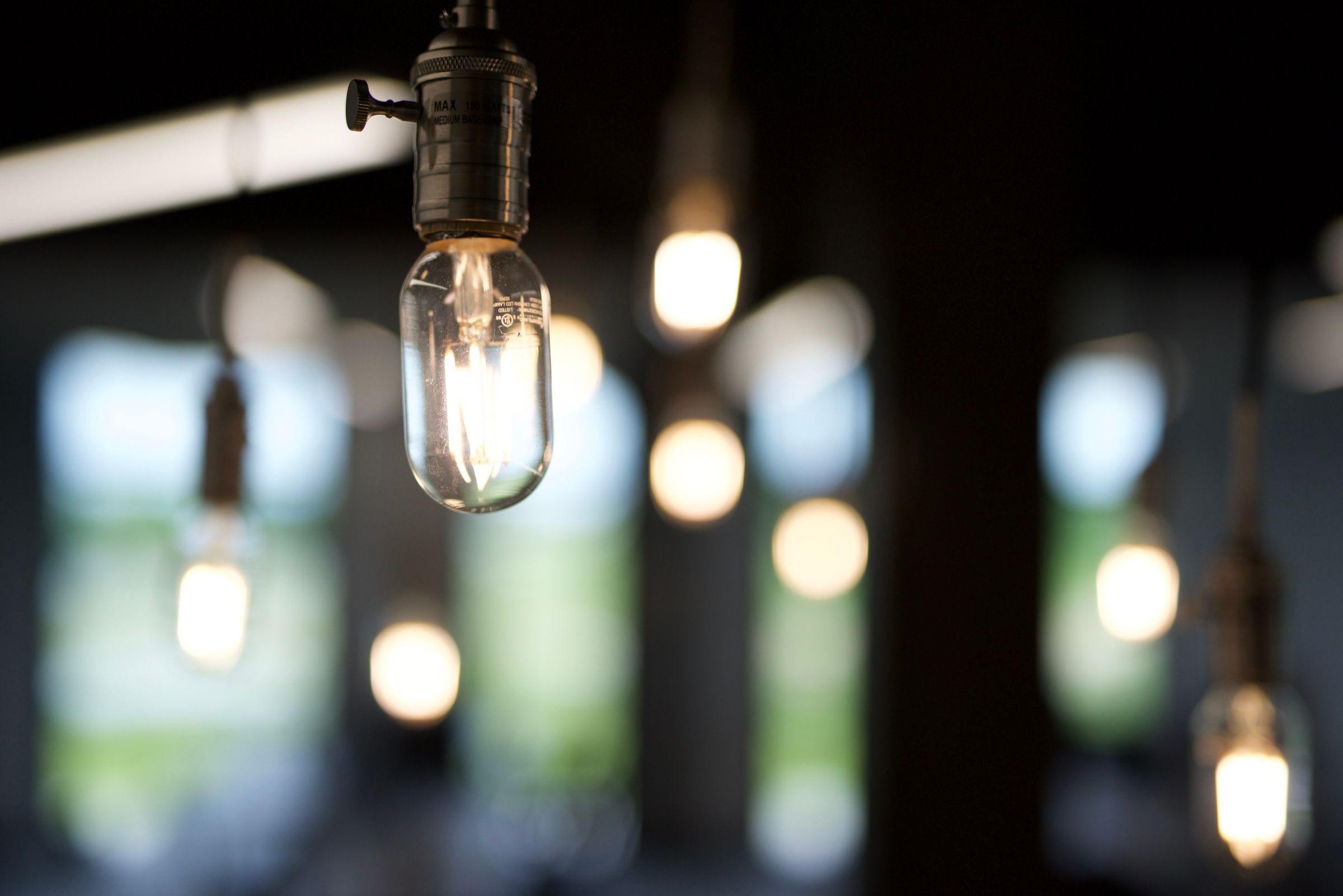 Edison bulb pendants hanging in the Found Search Marketing office