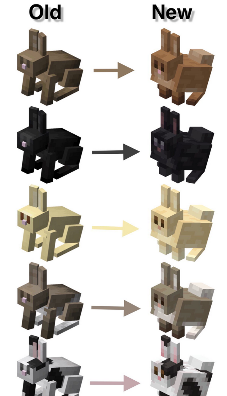 side-by-side comparison of old and new baby rabbit models