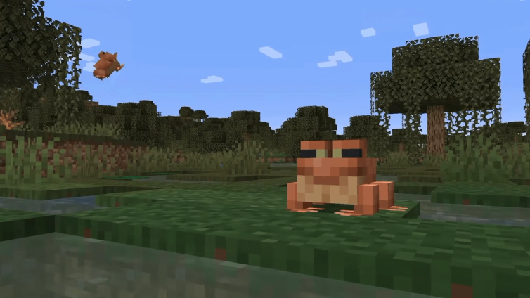 A frog in the swamp, another in the air jumping