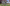 Minecraft Java Edition 26.1.1 Update