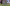 Minecraft Java Edition 26.1.1 Update