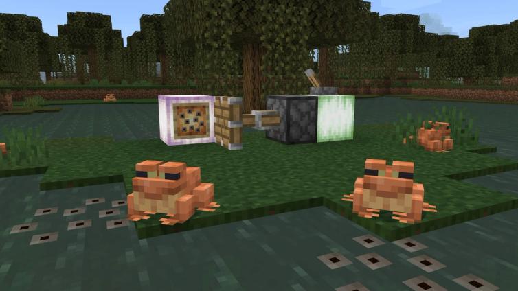 Frogs in the swamp