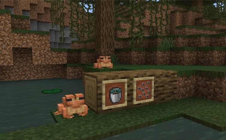 Frogs in the wild