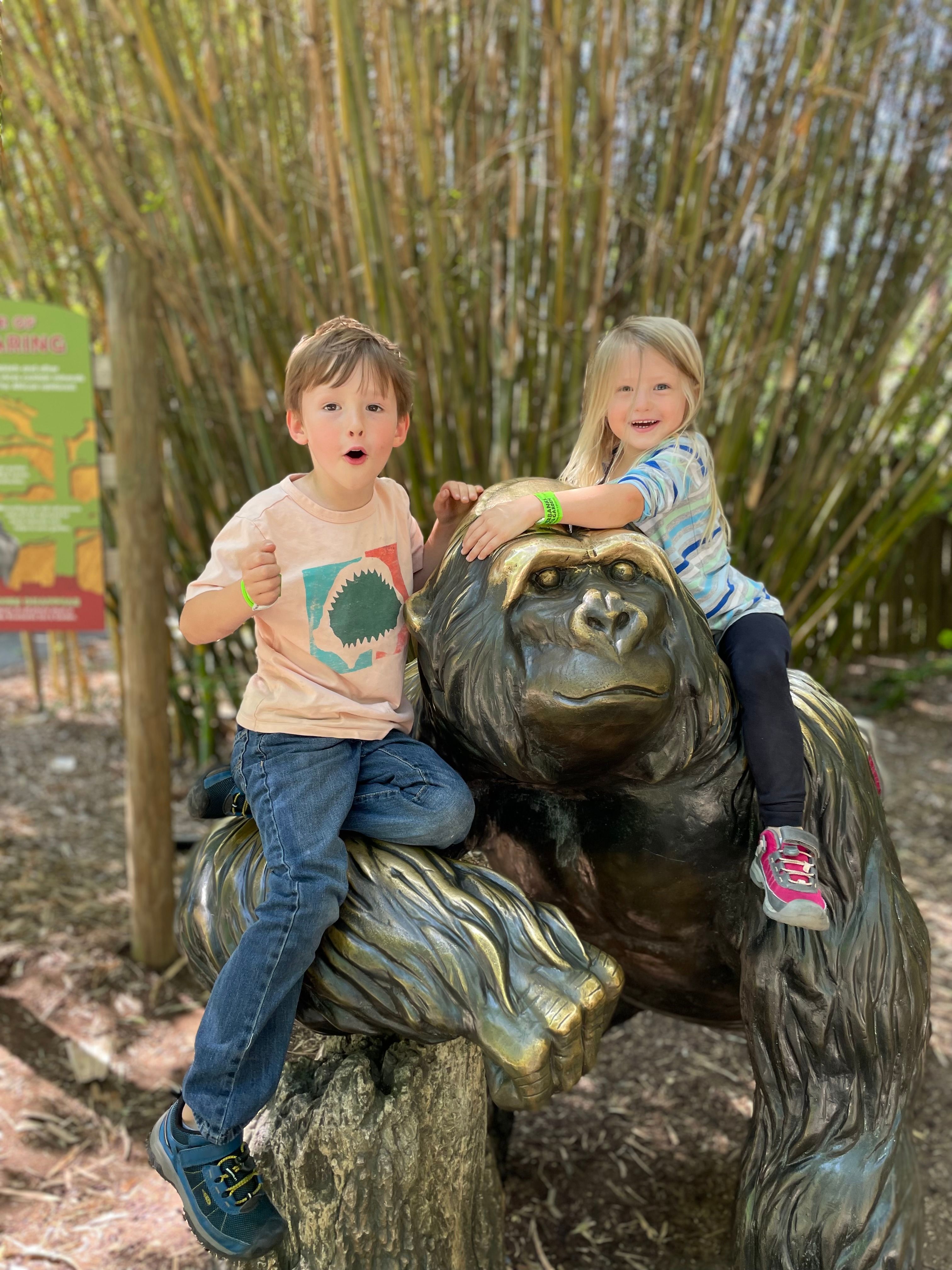 My children on a golden gorilla