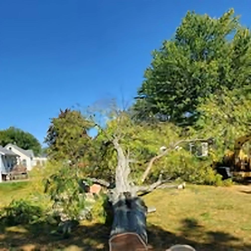 Storm Cleanup project by Benuz-Tinez Company in Shelby Township, Michigan