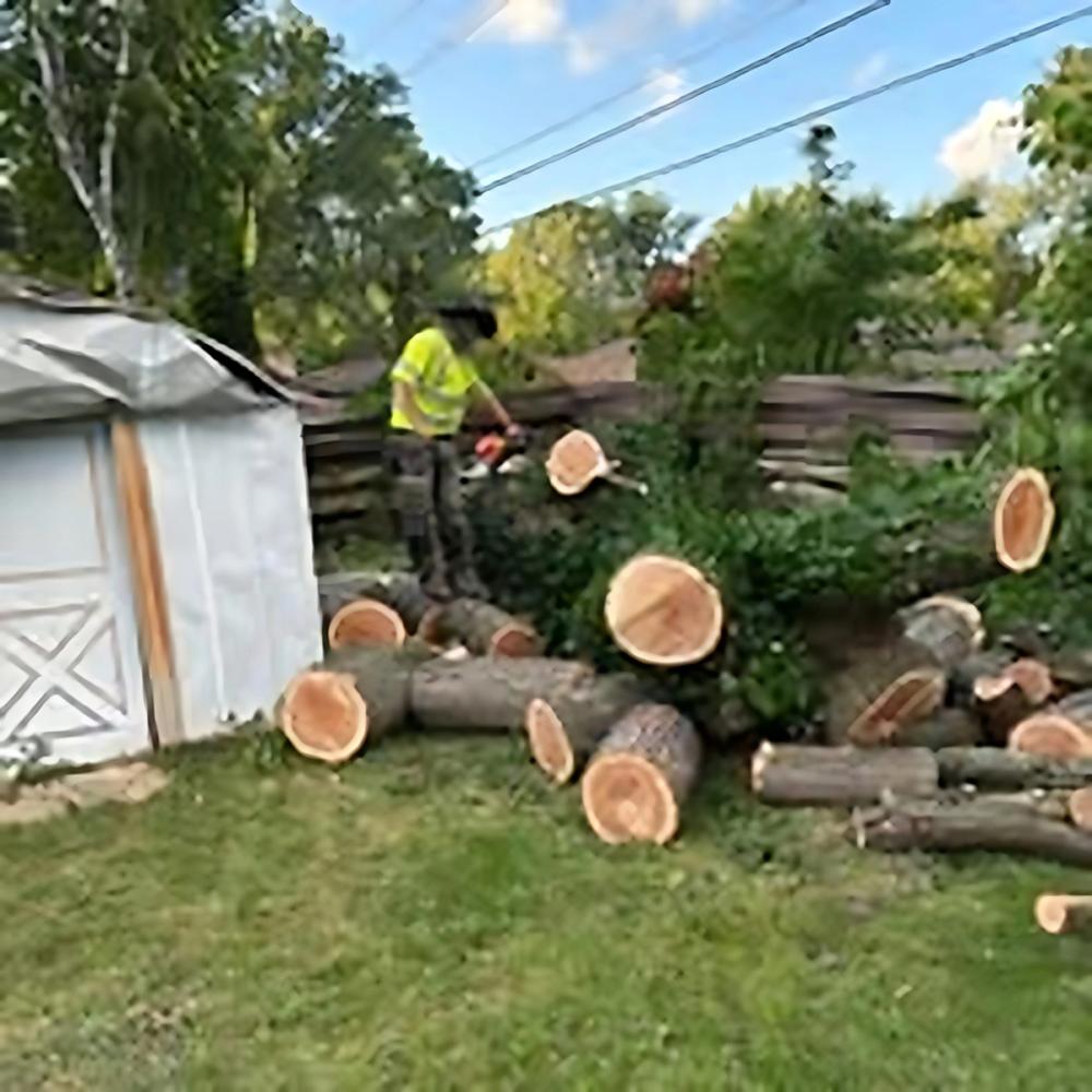 Storm Cleanup project by Benuz-Tinez Company in Shelby Township, Michigan