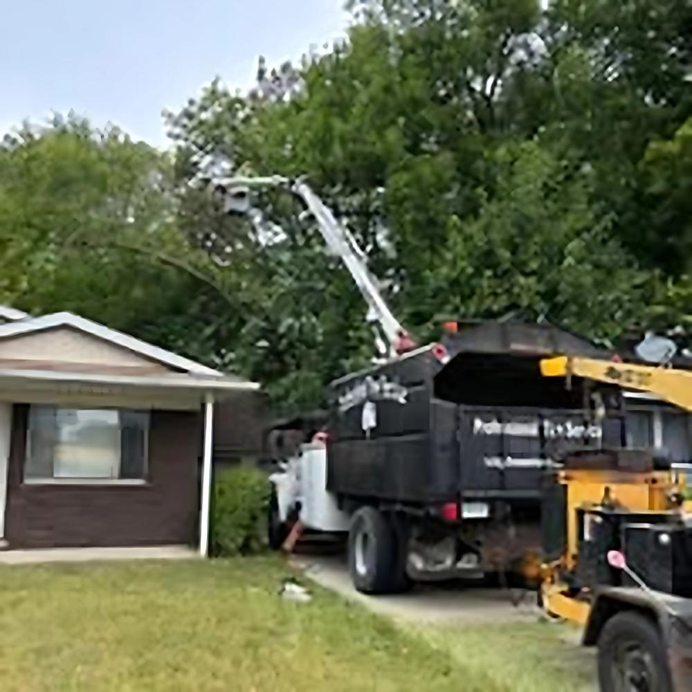Storm Cleanup project by Benuz-Tinez Company in Shelby Township, Michigan