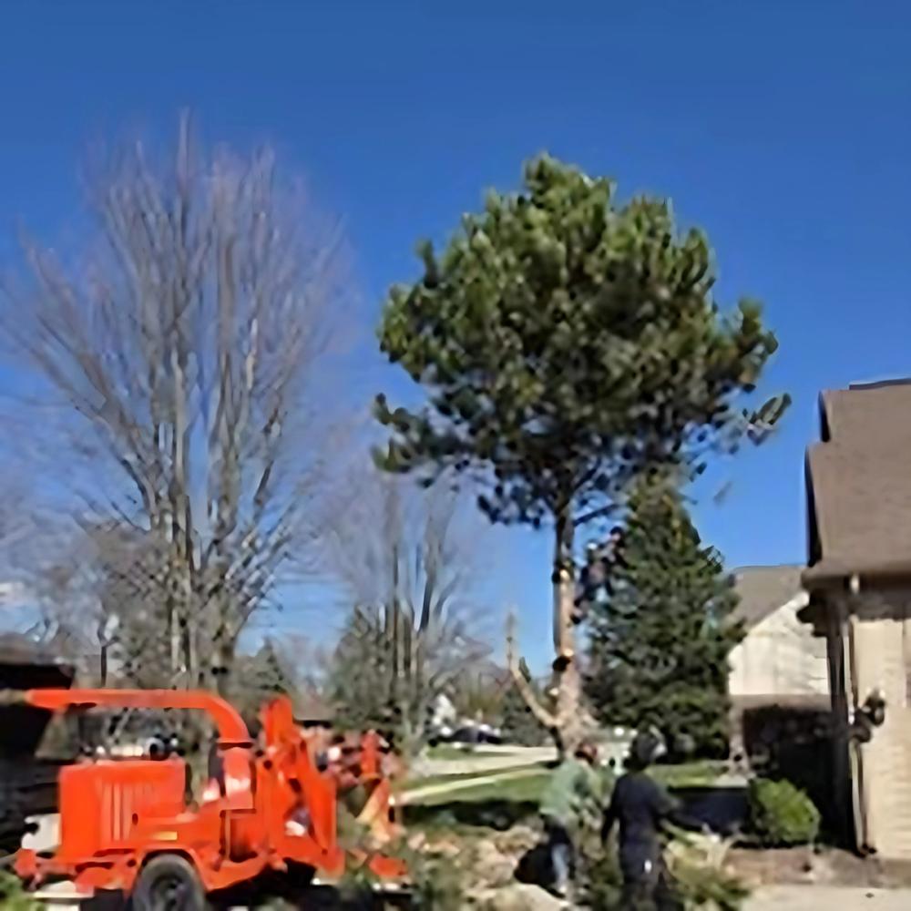 Storm Cleanup project by Benuz-Tinez Company in Shelby Township, Michigan