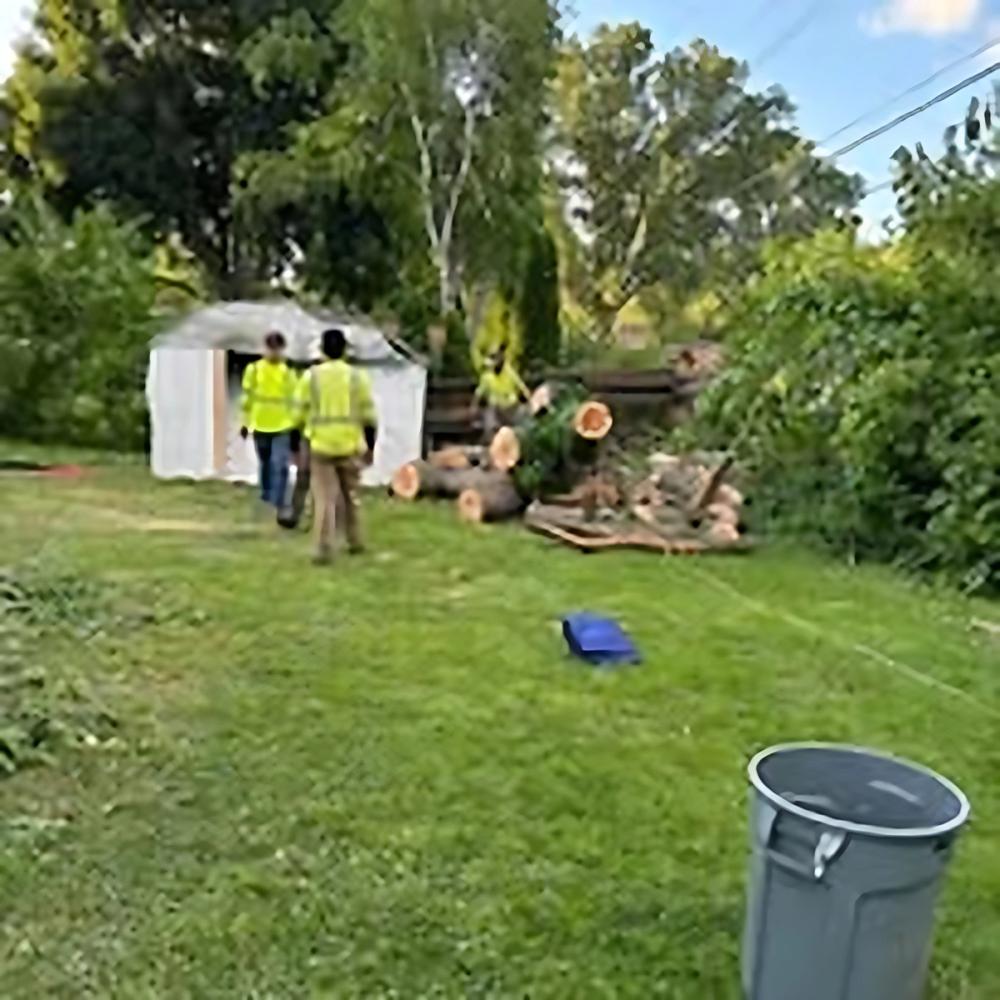 Stump Grinding project by Benuz-Tinez Company in Shelby Township, Michigan