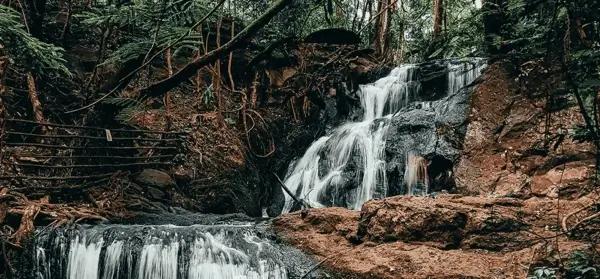 Nairobi Climate Week