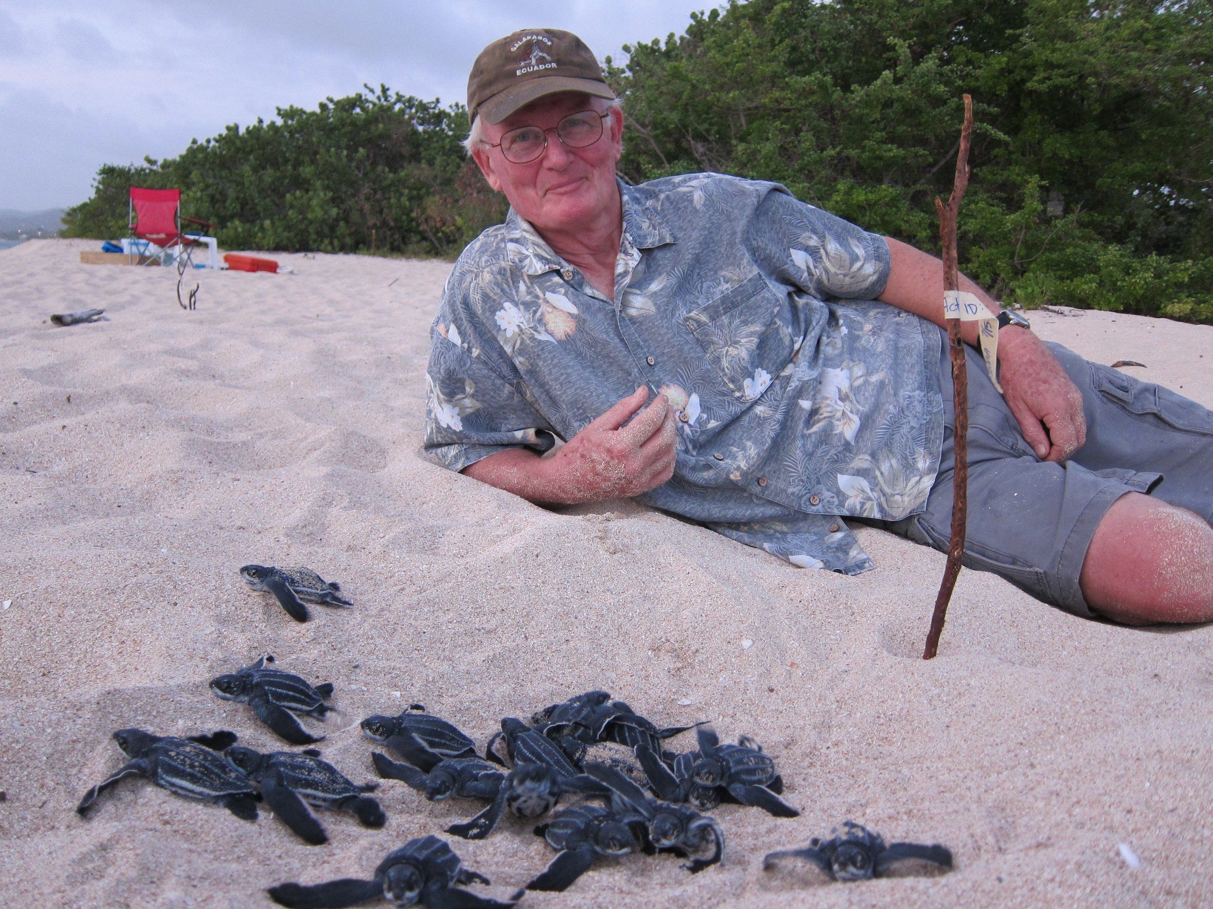 United Nations Recognizes Turtle Conservancy