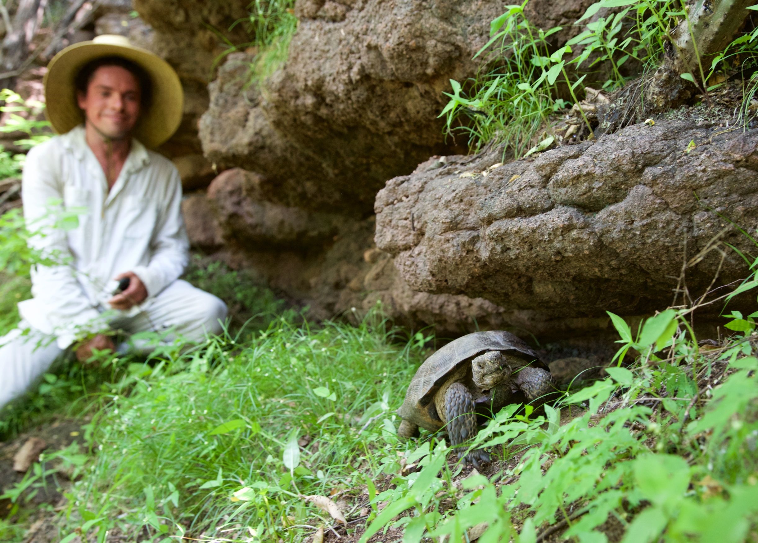 Saving a Mountain in Mexico