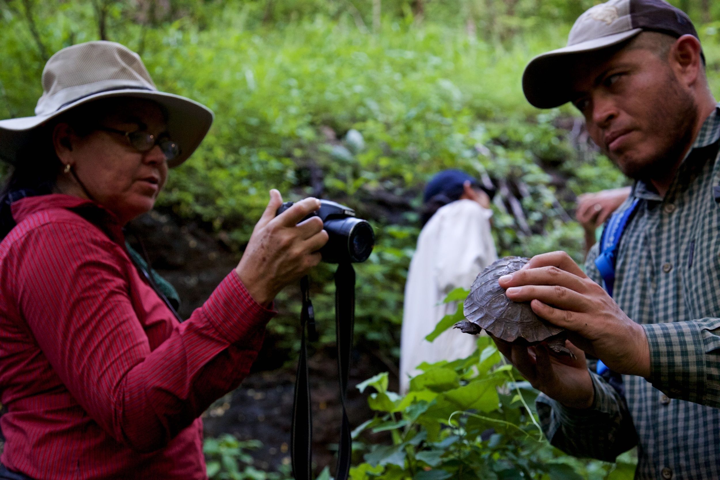 Saving a Mountain in Mexico