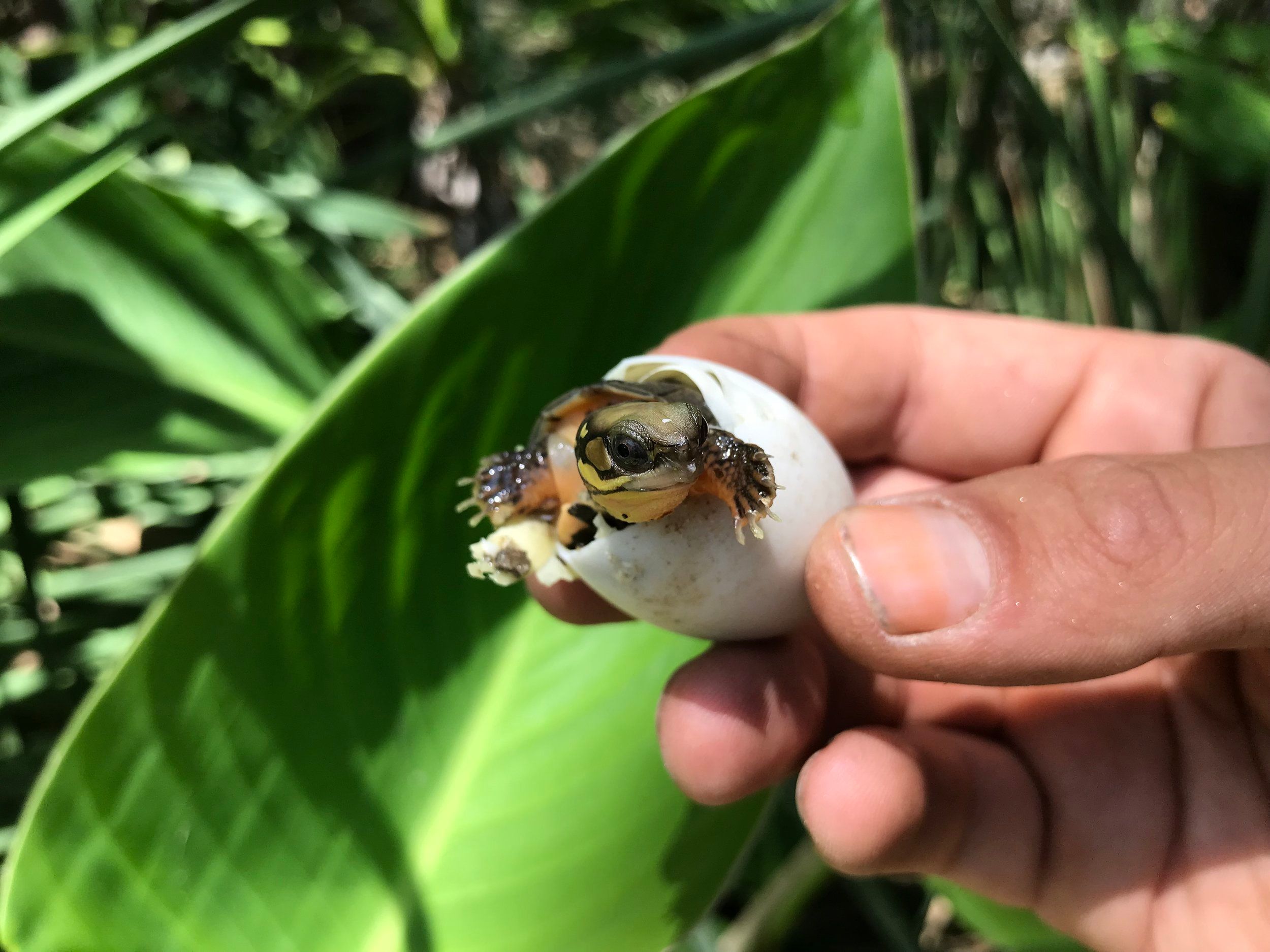 Conservation Center Updates