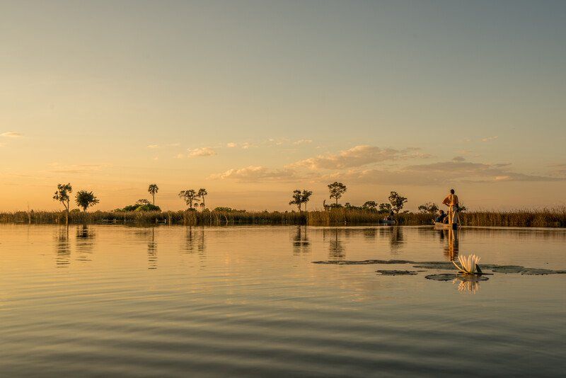 Save The Okavango