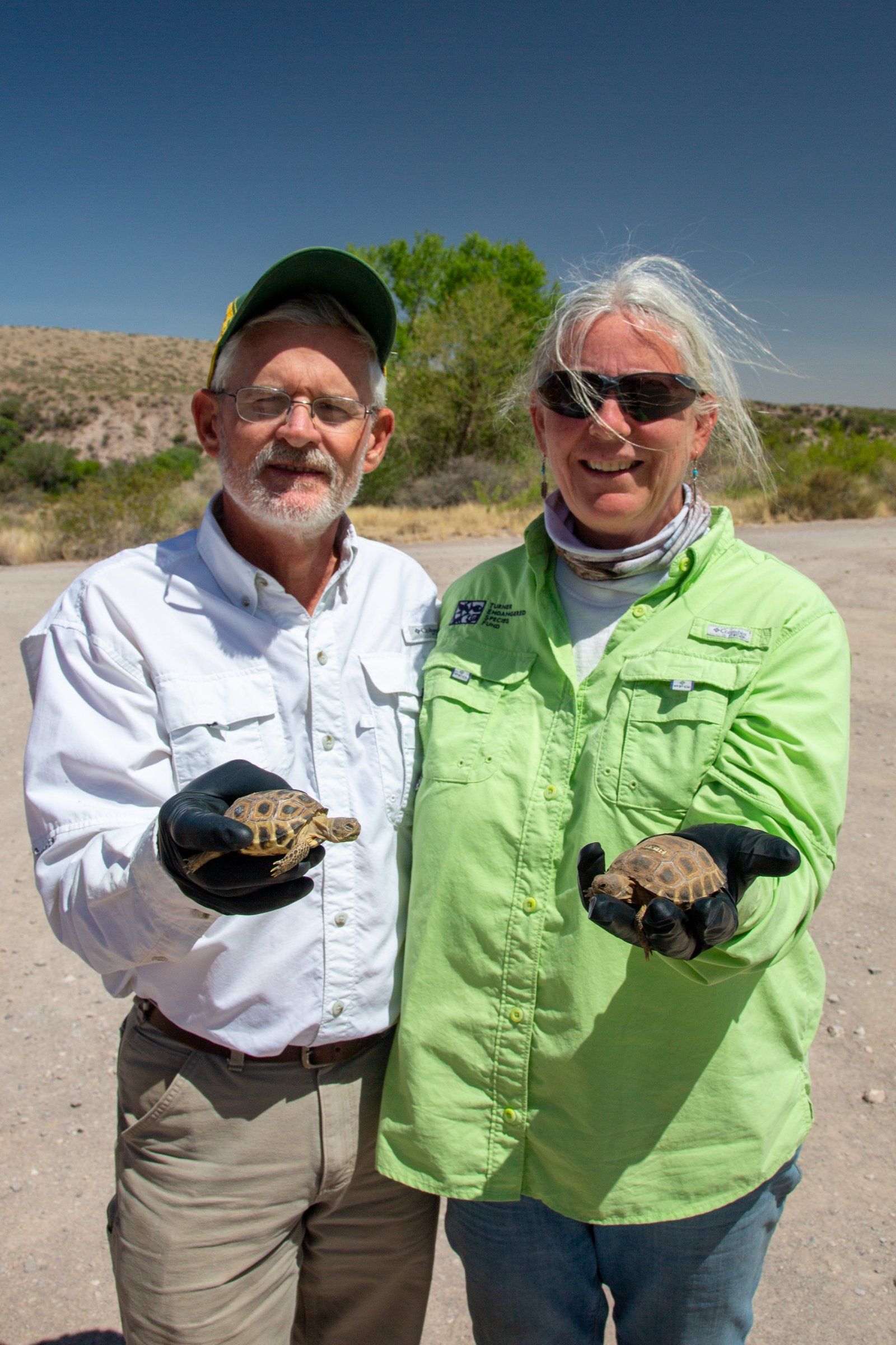 Ted Turner Saves Tortoises