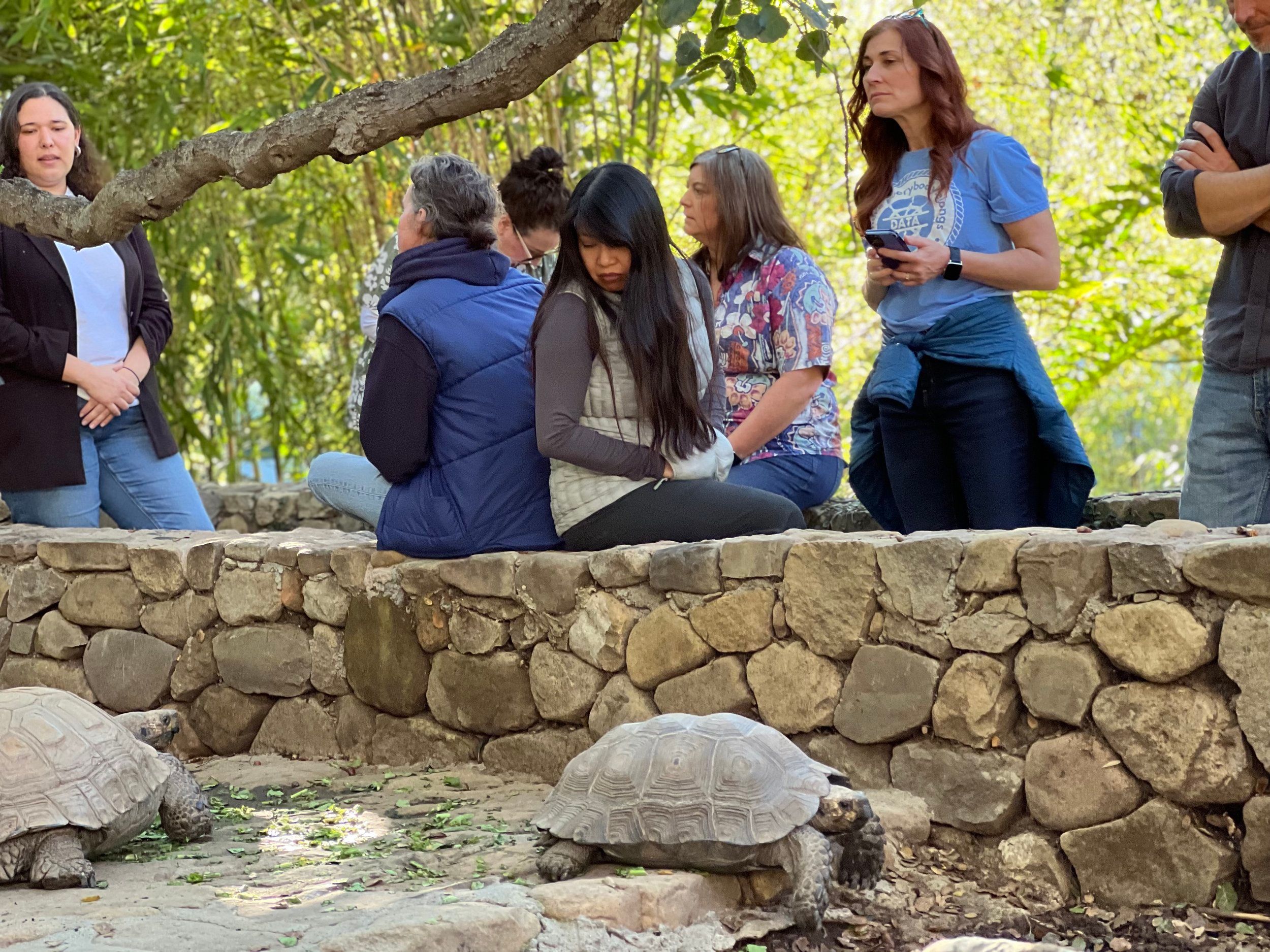 Turtle Conservancy Hosts Its First Teacher Workshop