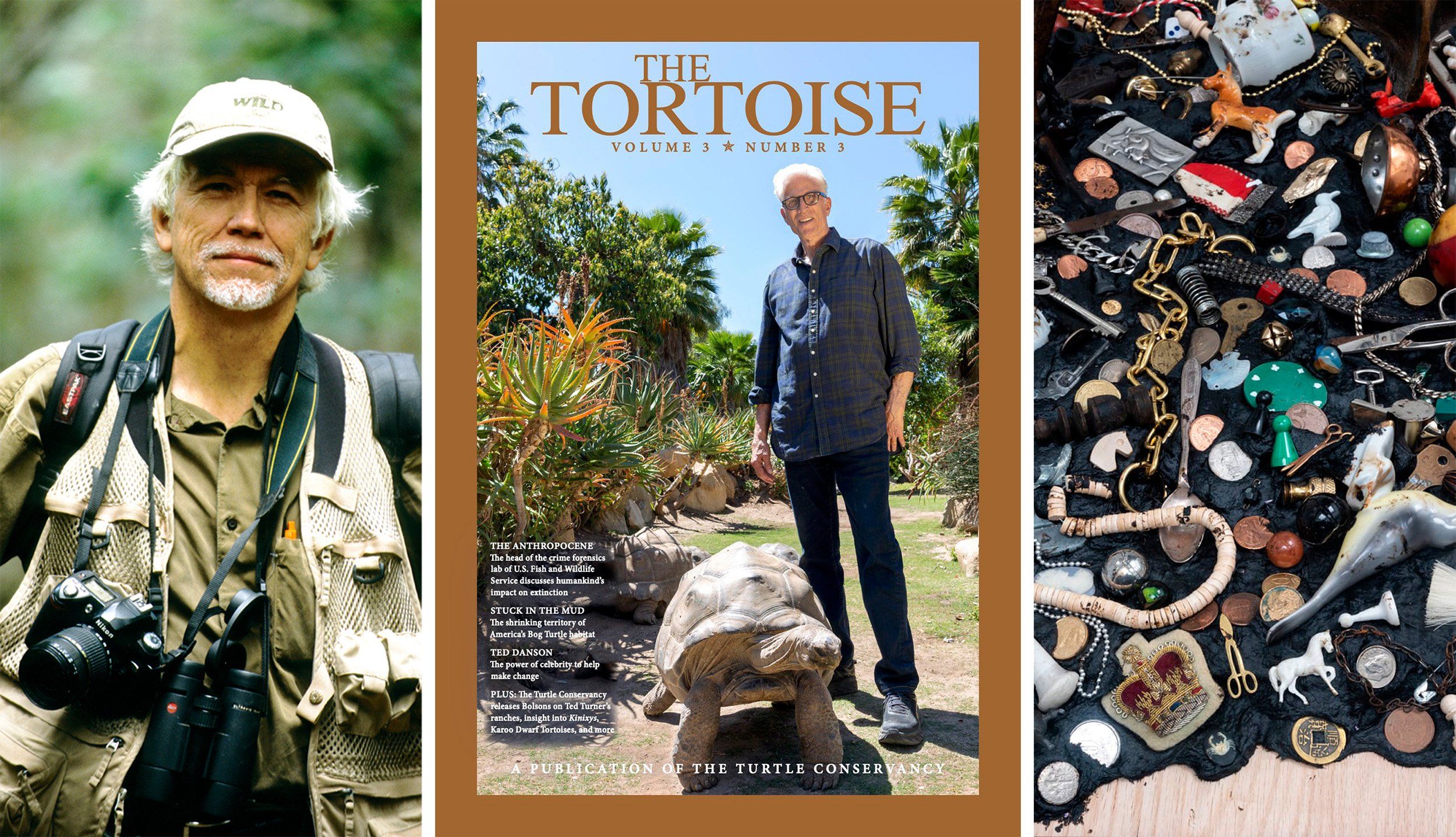 The Tortoise Magazine No. 11