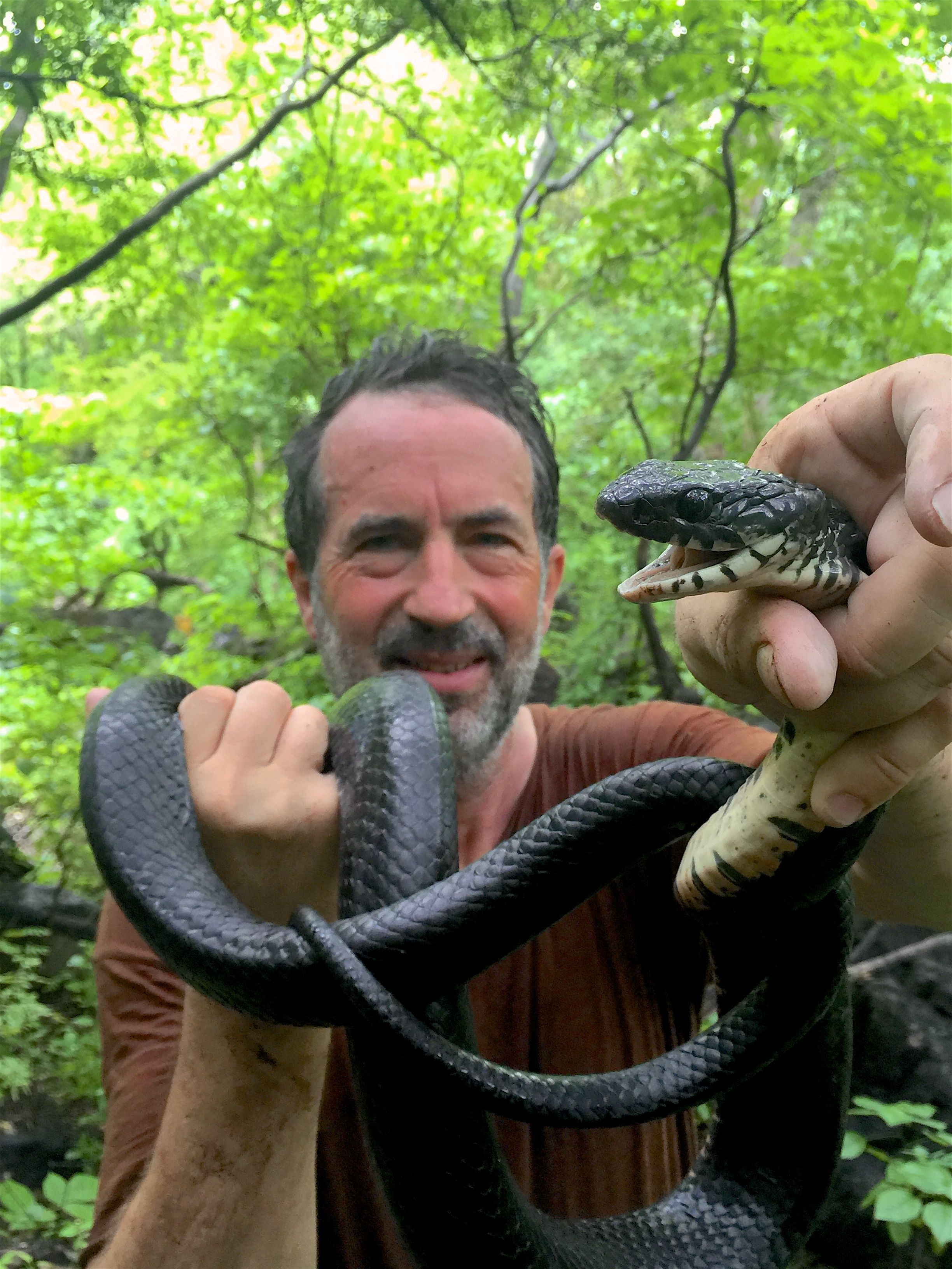 Saving a Mountain in Mexico