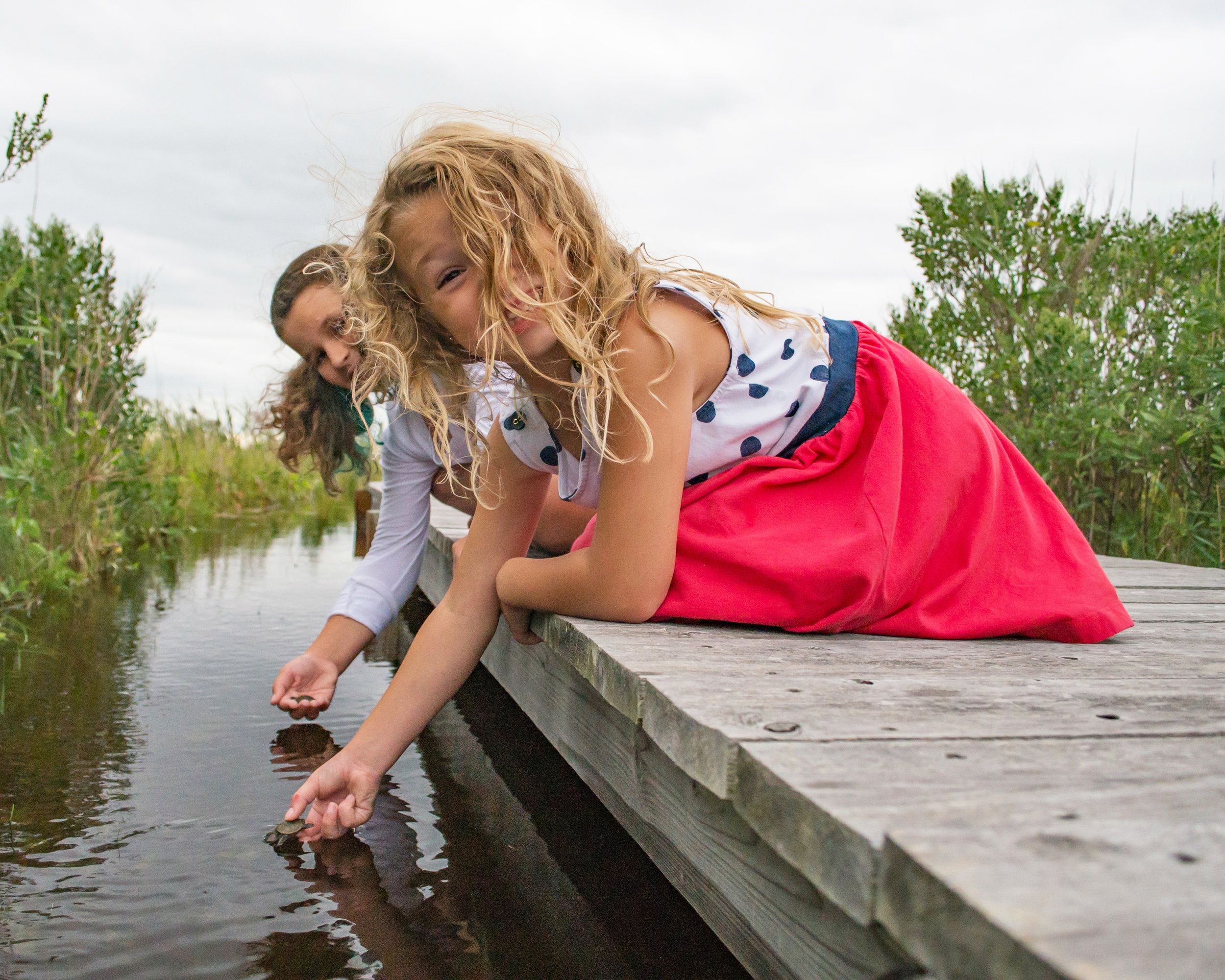 Terrapin Nesting Project