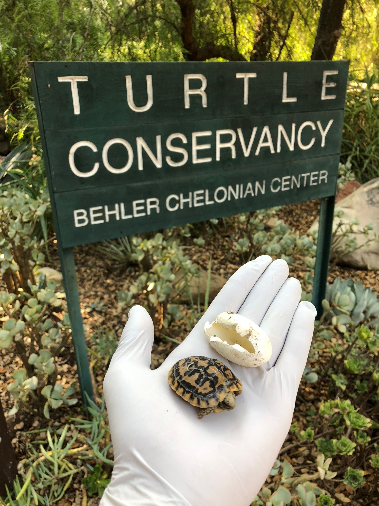 Conservation Center Updates