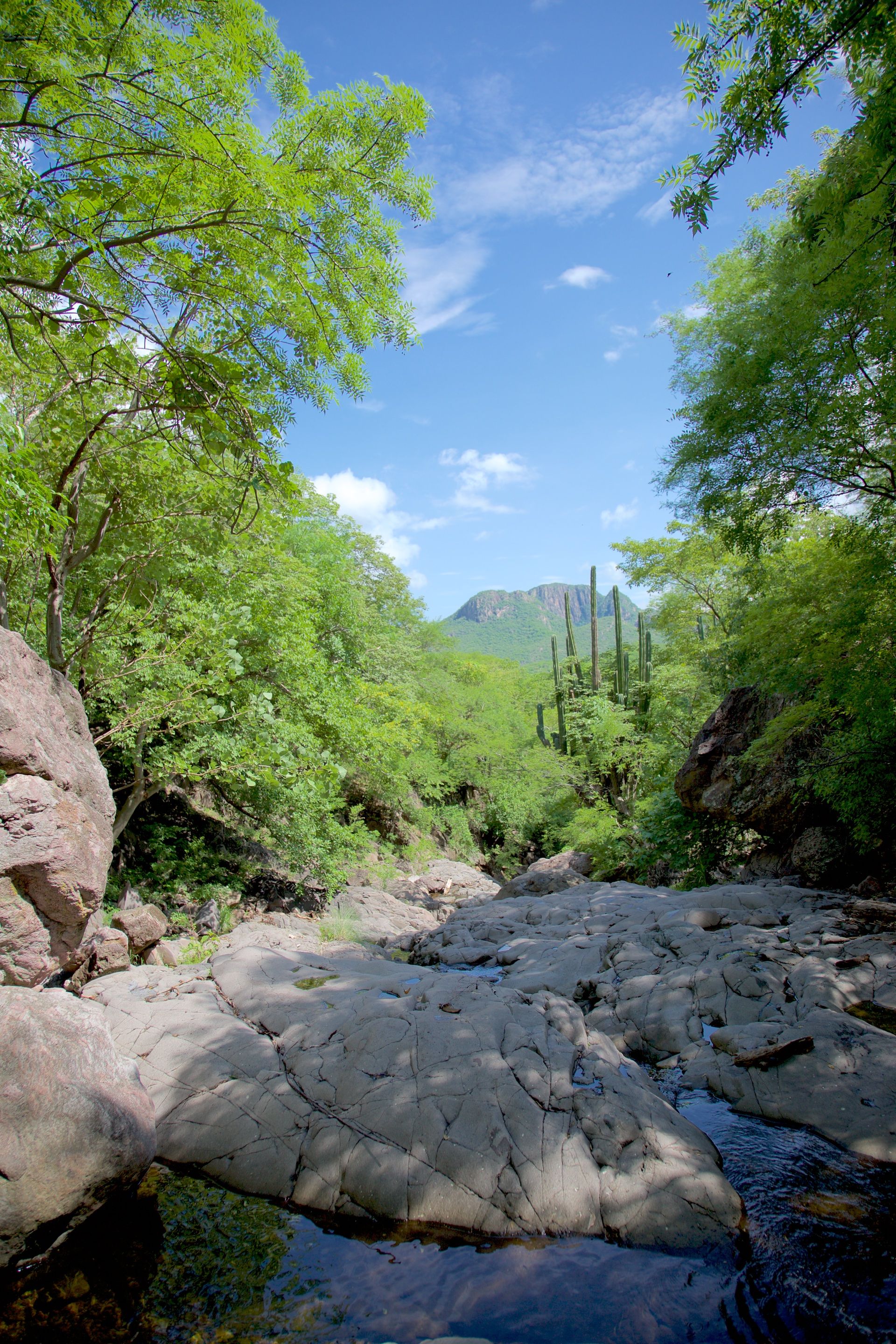 Saving a Mountain in Mexico