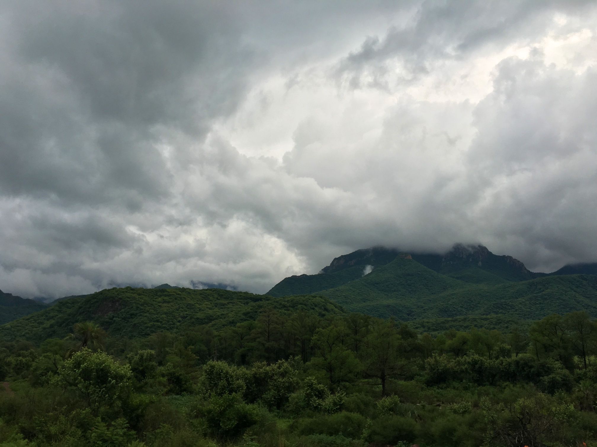 Saving a Mountain in Mexico